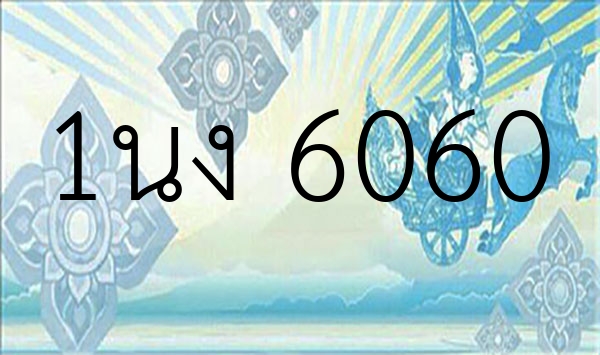 1นง 6060